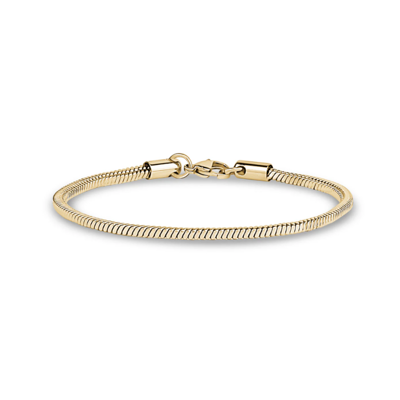 Snake Link Gold Bracelet